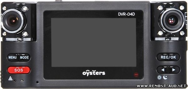 Oysters dvr